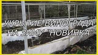 Виноград.Способы укрытия винограда на зиму.Подготовка винограда к зимовке.Укрытие винограда на зиму.