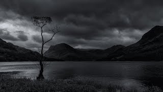 Landscape Photography: More That a (Buttermere) Tree