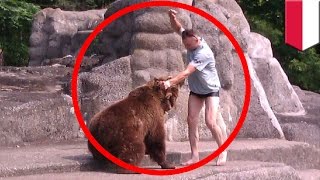 Idiota z Polski uderza niedźwiedzia w głowę....i przeżywa!