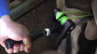 Callicrate PRO Bander Demonstration