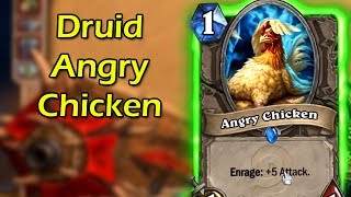 Hearthstone: Angry Chicken Druid Deck with Wowcrendor | WoWcrendor