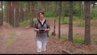 329. Хлеб на каждый день. Ценности небес