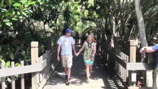 Explore Balboa Park - San Diego, CA