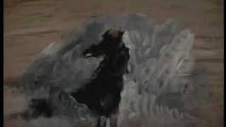 Жди меня - Георгий Виноградов