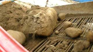 Gallenberg Rock Picker 9