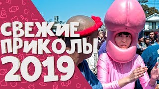 ЛУЧШИЕ ПРИКОЛЫ 2019 | ПОДБОРКА ПРИКОЛОВ | НОВЫЕ ПРИКОЛЫ | СМЕХ ДО СЛЁЗ №39 СМЕХА РАДИ