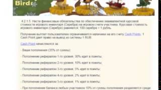 Вебинар Правильный старт в проекте Мани Бердс, Money Birds