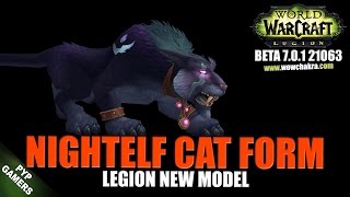 [#WoW] Night Elf cat form 2 new model | World of Warcraft Legion (Beta)