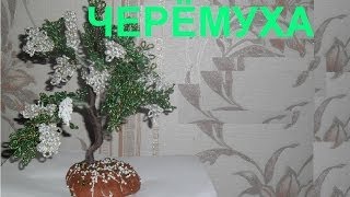 Бисероплетение для начинающих (Черёмуха 1 часть) Мастер-класс