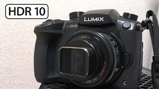 4K HDR10 | Moondog Labs 1.33X Anamorphic Adapter with GH5