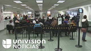 Reacciones tras bloqueo de medida que busca frenar ingreso de inmigrantes sin seguro médico a EEUU