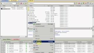 Hướng dẫn cài đặt Wordpress trên Windows Hosting Plesk 11 - TND.VN