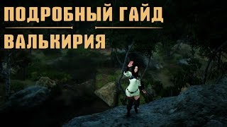 ПОДРОБНЫЙ ГАЙД ВАЛЬКИРИИ Black Desert