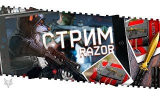 СТРИМ ВАРФЕЙС!ГОДНЫЙ АП BLACKWOOD И ОБНОВА!НОВЫЕ КЕЙСЫ С ЗОЛОТЫМ KRISS В ОПИСАНИИ КОД:МАМБА