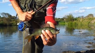 Ловля нахлыстом на мокрые мушки и нимфы (Wet Flies Fly Fishing)