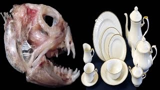 How Bone China Crockery is Made ? Indian Must Watch ...!