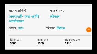 आजचे कांदा बाजार भाव , pyaaj ke bhav , onion rate in maharashtra, kanda bajar bhav today