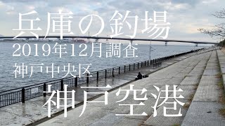 【2019年12月調査】兵庫の釣場「神戸空港」神戸市中央区[December 2019 survey] Hyogo fishing spot "Kobe Airport" Chuo-ku, Kobe