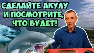 СДЕЛАЙТЕ УПРАЖНЕНИЕ АКУЛА И ВЫ ЧЕРЕЗ МЕСЯЦ ПОСМОТРИТЕ, ЧТО БУДЕТ! Островский. С чего начать уборку