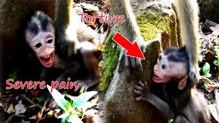 God help | Poor baby Daniela severe pain ,suffered torture by Evil DeeDee | Pity baby Daniela