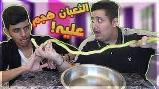 تحدي تخمين اللي بالصحن !! ( جبت له ثعبان و هجم عليه !!! )