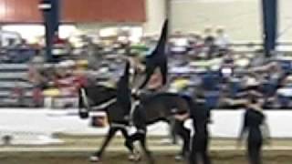 MVI 2288 Vaulting