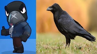 БРАВЛ СТАРС В РЕАЛЬНОЙ ЖИЗНИ | Brawl Stars Troops In Real Life 2019!