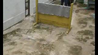 Treino de Salto - Meus trêis cães