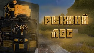 STALCRAFT ОФТ - Рыжий Лес и что на нем происходит? (Аномалии, Варп, Мутанты, Игроки, Сигналы, Аиры)