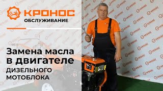 Замена масла в двигателе дизельного мотоблока (kronos5.by/kronos5.ru)