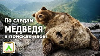 По следам Медведя В поисках избы|The footprints of a Bear In search of the hut.|