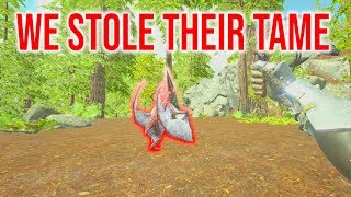 Stealing Our Enemies Pteranodon! Ark: Trio PvP S2E2