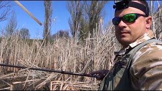 Успешная рыбалка на карася в камышах удочкой с боковым кивком