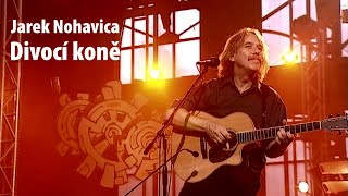 Jaromír Nohavica - Divocí koně