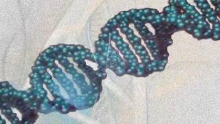 The DNA of Abundance Harmonic Activation