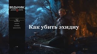 Ведьмак 3. Как убить эхидну
