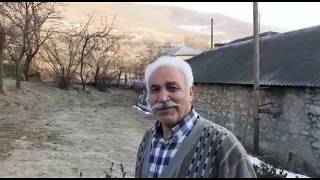 Боиные Голуби Дяди Артака Бекназаряна