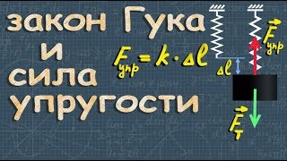 СИЛА УПРУГОСТИ закон Гука 7 класс физика Перышкин