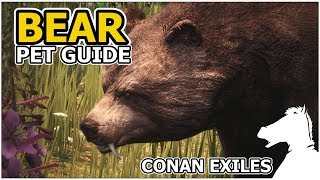 BEAR | Pets Guide | CONAN EXILES