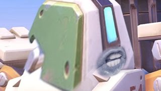 OVERWATCH IN A NUTSHELL 7
