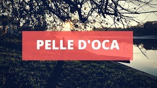 VODA LOVA feat DYDO - PELLE D'OCA