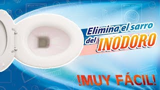 Como limpiar el inodoro, eliminar el sarro y dejarlo como nuevo fácil sin esfuerzos