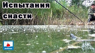 Испытания моей новой снасти на крупного карася