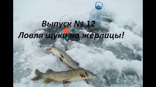 выпуск № 12. Вышли на рыбалку на затон реки Самары! ловим щуку на жерлицы!