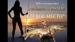 Рыбалка на Оби Клевое место