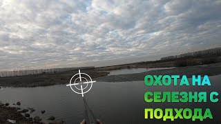 ОХОТА НА СЕЛЕЗНЯ С ПОДХОДА МР155 ПАТРОН ДВА НУЛЯ ЖЕСТЬ