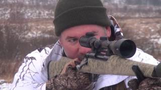 Охота на оленя с подхода. Deer hunting.