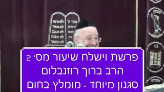 הרב רוזנבלום וישלח 2 HD שיעור ברמה גבוהה על פרשת וישלח מאת הרב רוזנבלום 2 rabbi rosenblum vayishlach