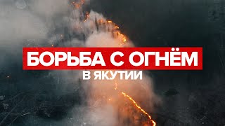Уничтожено более 1,5 млн гектаров леса: главное о природных пожарах в Якутии