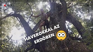 HAVEROKKAL AZ ERDŐBEN #1 - FAHÁZAT FOGUNK ÉPÍTENI! ? ? ► Vlog #5
